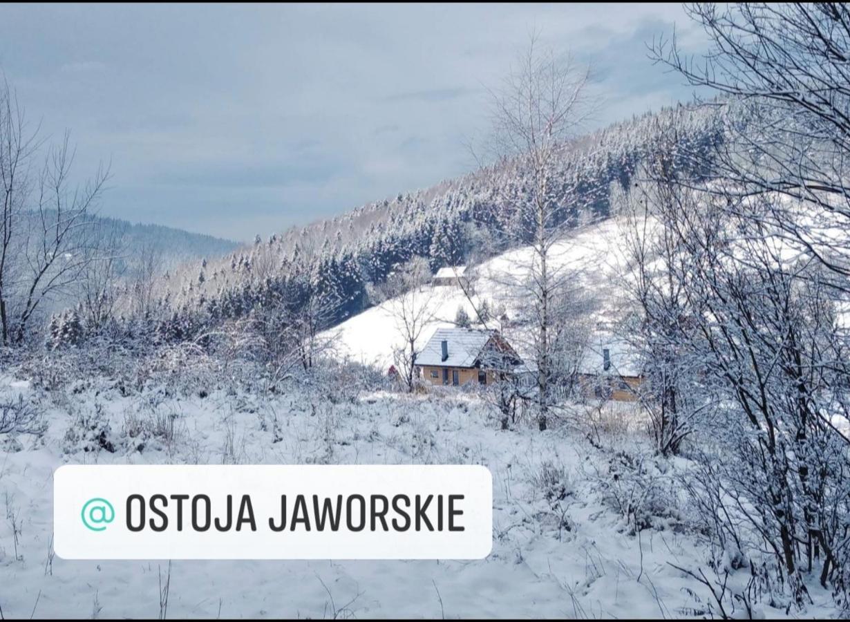 Ostoja Jaworskie Stryszawa Dış mekan fotoğraf
